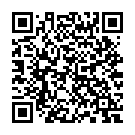 QR code for plate 377 RSI
