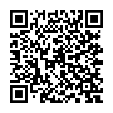 QR code for plate 378 XLN