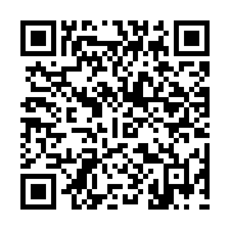 QR code for 380 GEL