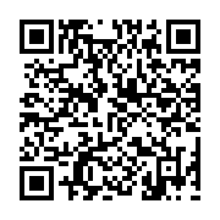 QR code for 380 ION