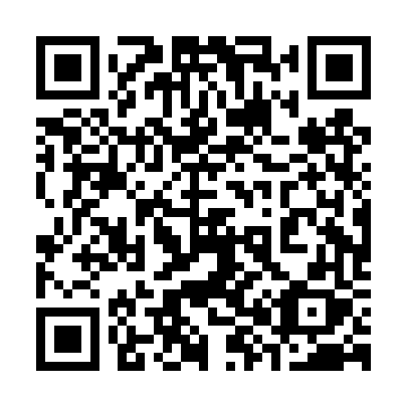 QR code for plate 380 DVX