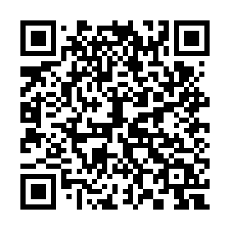 QR code for plate 380 FUT