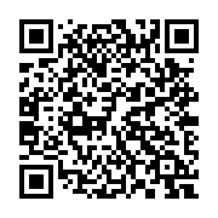 QR code for plate 380 PYD