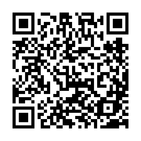 QR code for plate 380 VLH
