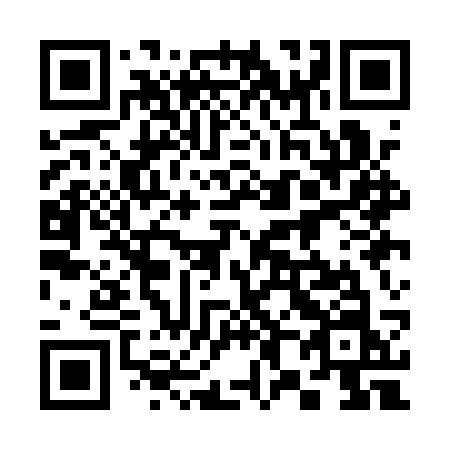 QR code for 381 ASN
