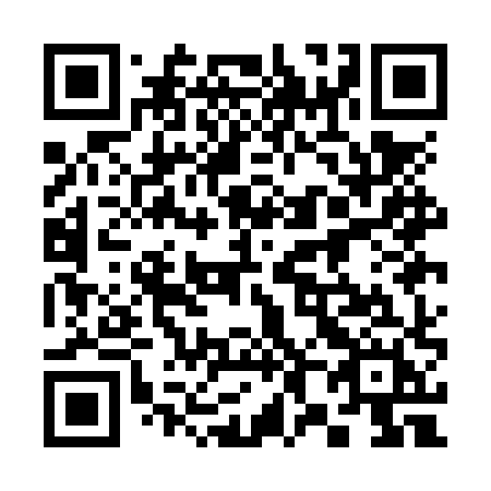 QR code for 381 NXH