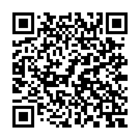 QR code for 381 PDK
