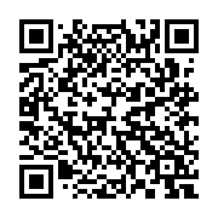 QR code for 381AHV