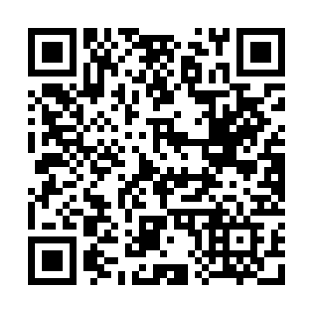 QR code for plate 381 LBF