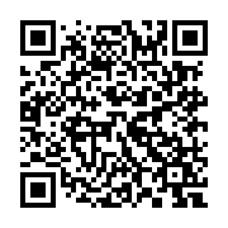 QR code for plate 381 MMW