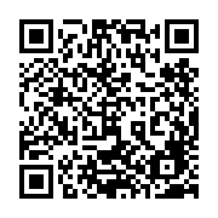 QR code for 381TNF