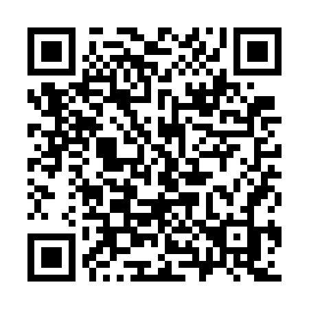 QR code for plate 381 WFJ