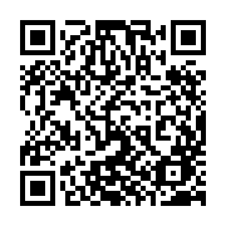 QR code for plate 381 XMB