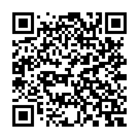 QR code for plate 381 XUS