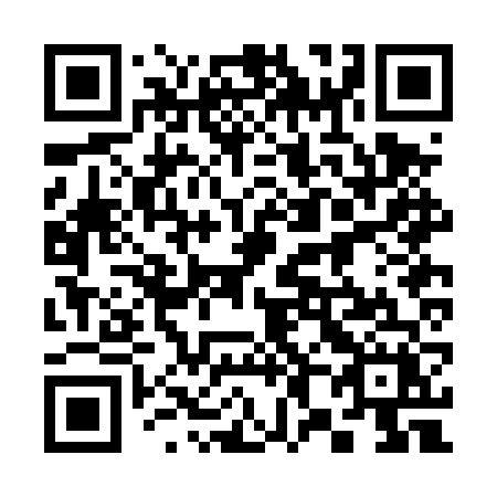 QR code for 382 DVX
