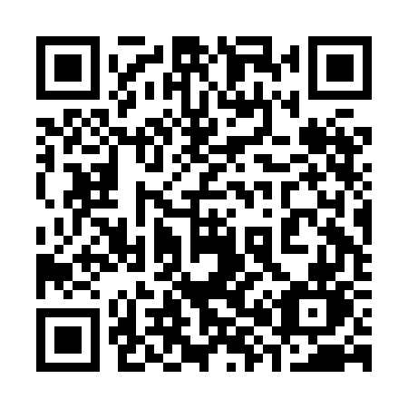 QR code for 382 HGN