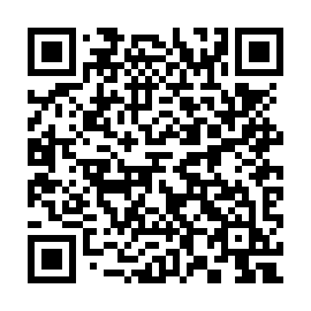 QR code for 382 NYJ