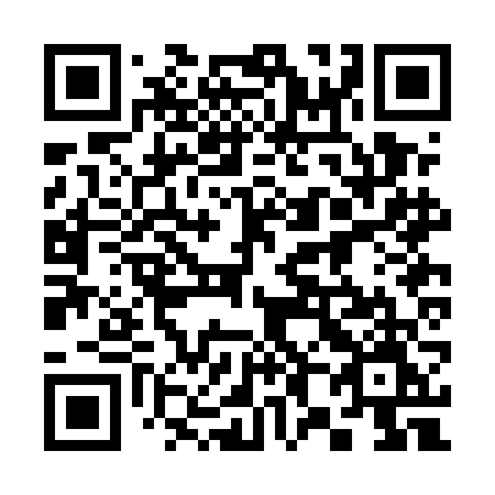 QR code for plate 382 EFM