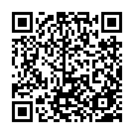QR code for plate 382 RPG