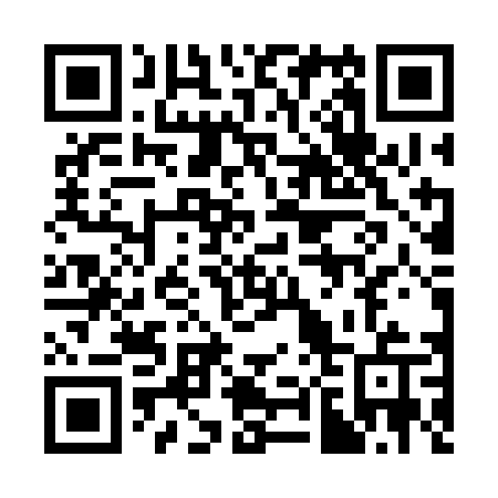 QR code for 382SDU
