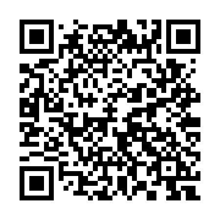 QR code for plate 382 WPI