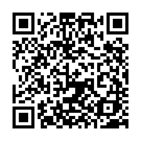 QR code for 383 ANI