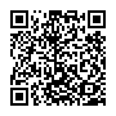 QR code for 383 DAY