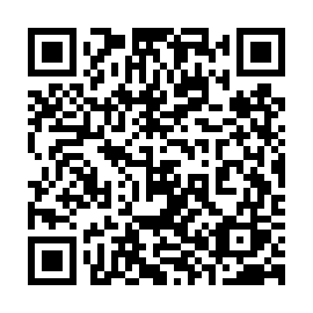 QR code for 383 DWS