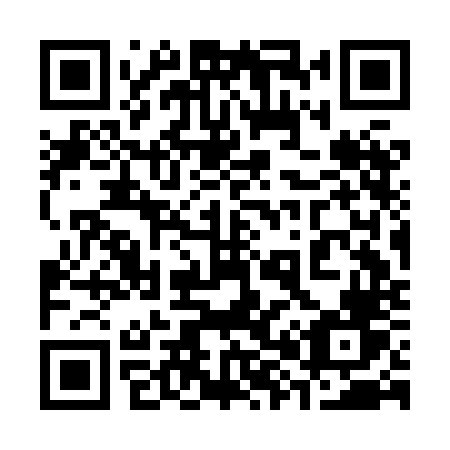 QR code for 383 HNV