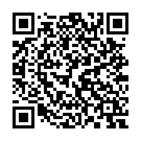 QR code for 383 PVX