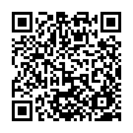 QR code for 383 QZD