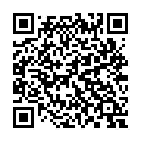 QR code for 383 SSF