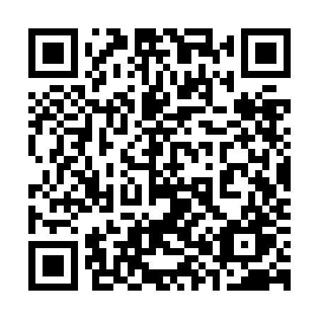 QR code for 383 ZJW