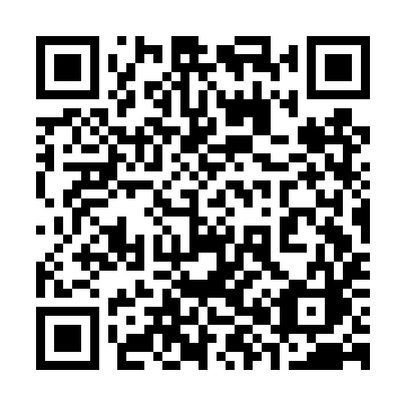 QR code for plate 383 DYC
