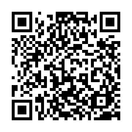 QR code for 383KIC