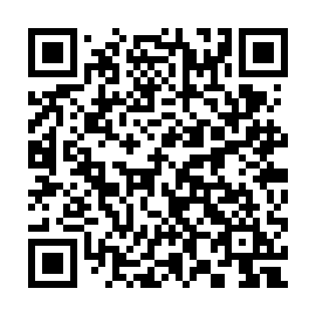 QR code for plate 383 VAI