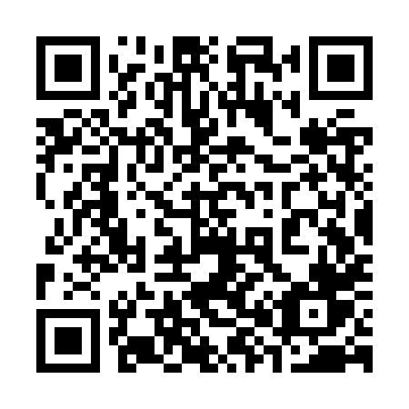 QR code for plate 383 ZXV