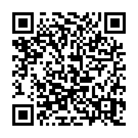 QR code for 384 AGT