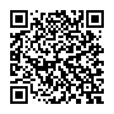 QR code for 384 BOK