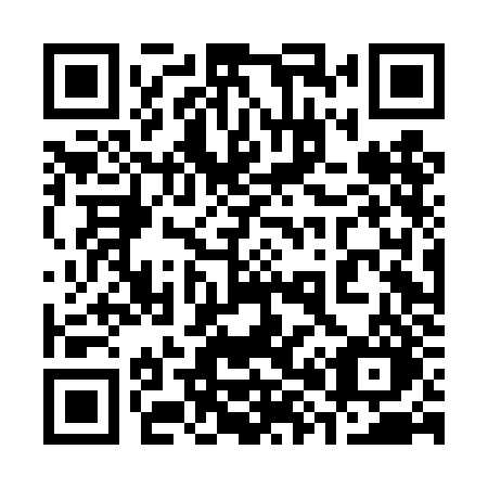QR code for 384 DJO