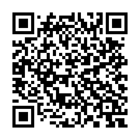 QR code for 384 DPV