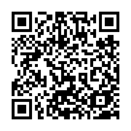 QR code for 384 FYE