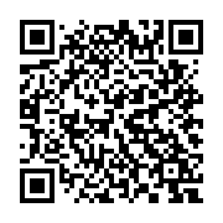 QR code for 384 GRW
