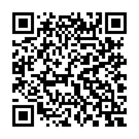 QR code for 384 HKJ