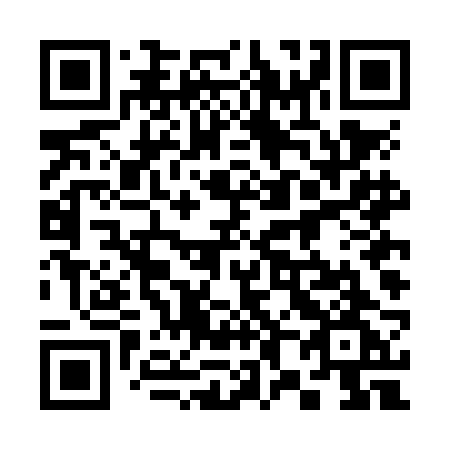 QR code for 384 NBG
