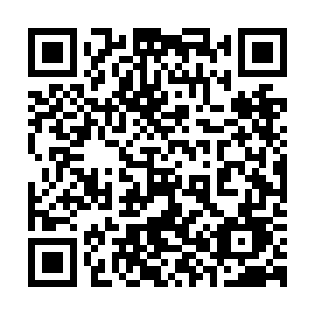 QR code for 384 NGD