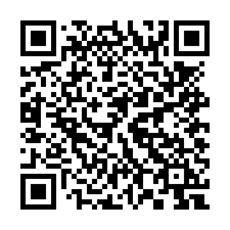 QR code for 384 NUI