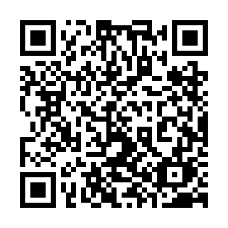 QR code for 384 SGL