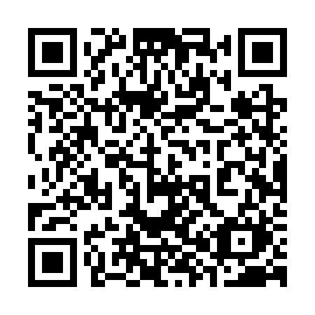 QR code for 384 SRM