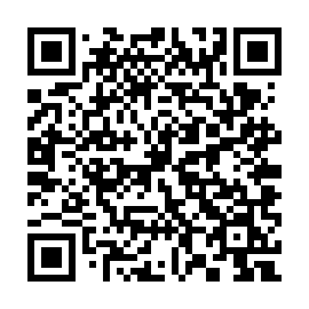 QR code for 384 VMN